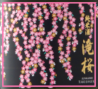 季節限定商品「滝桜 純米酒 300ml、720ml」【3月5日蔵出荷】