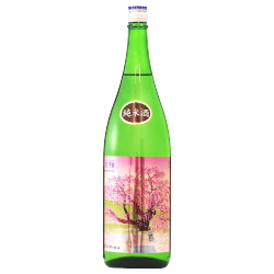 三春駒 滝桜 純米酒 1.8L